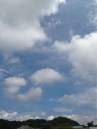 f0298891_1257449.jpg