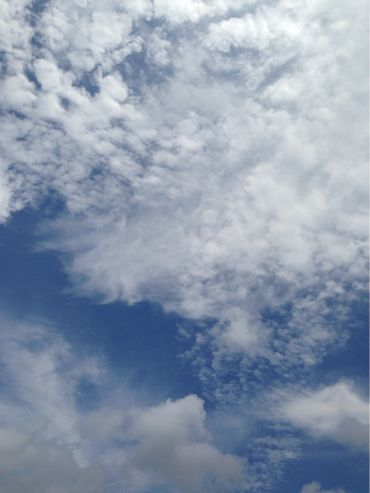f0298891_12574534.jpg