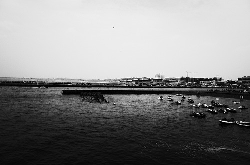 b0119493_16493563.jpg