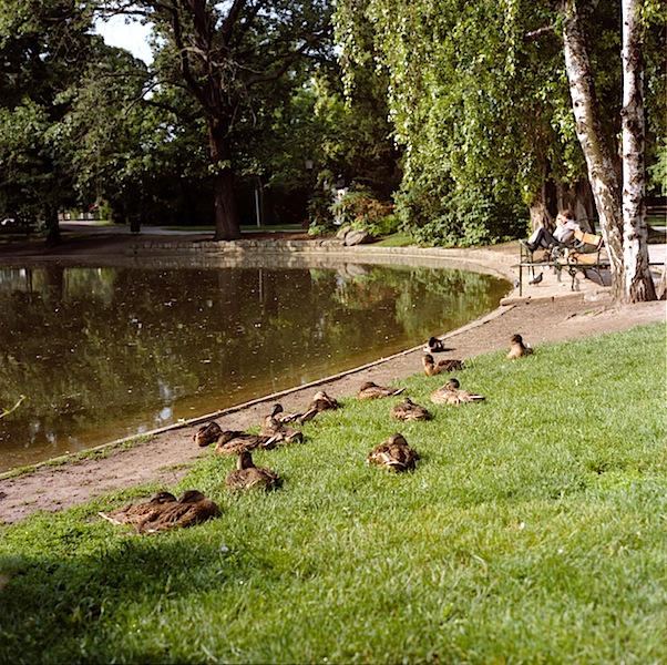 f0108399_11272767.jpg