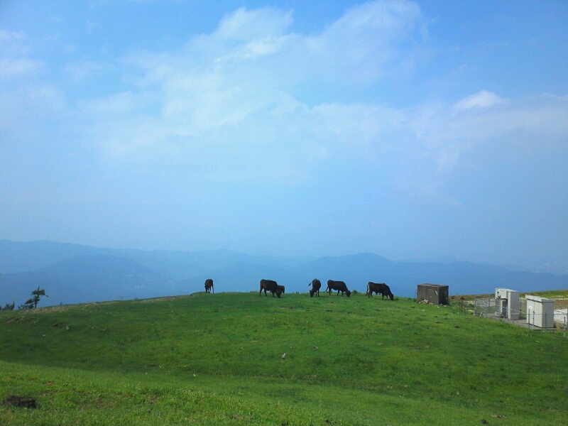 e0015100_223358.jpg