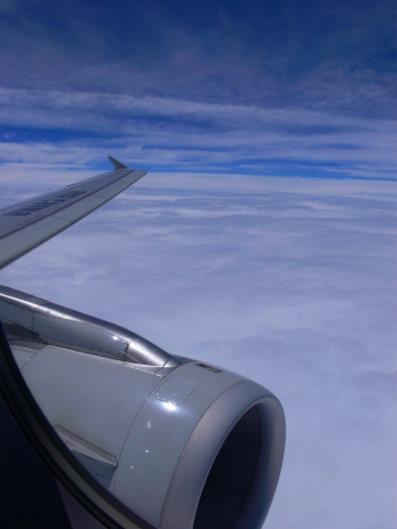 c0153302_816119.jpg