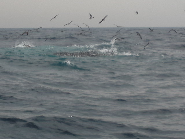 d0224204_1850616.jpg