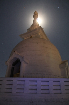 a0188405_791849.jpg