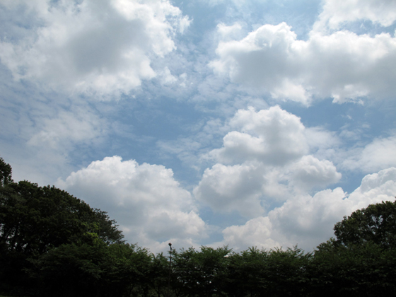 a0270707_1323520.jpg