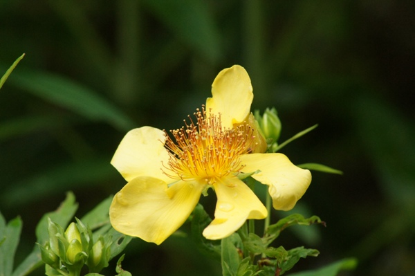 c0042418_7441386.jpg