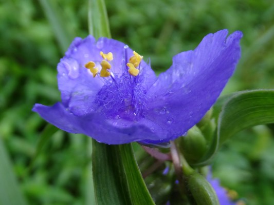 c0042418_74687.jpg