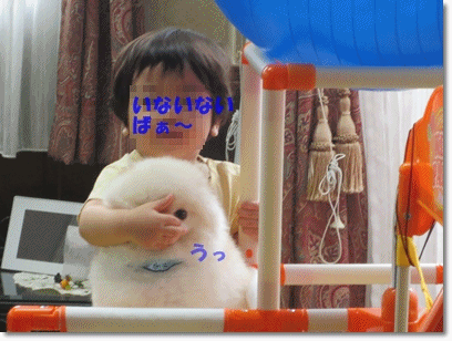 b0167519_2345280.gif