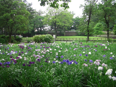 c0074721_16225358.jpg