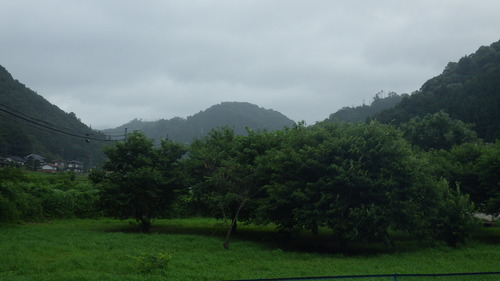 c0300035_99026.jpg