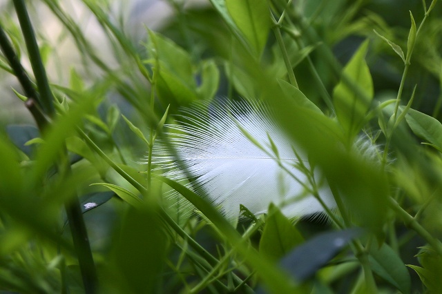 a0242438_20107100.jpg