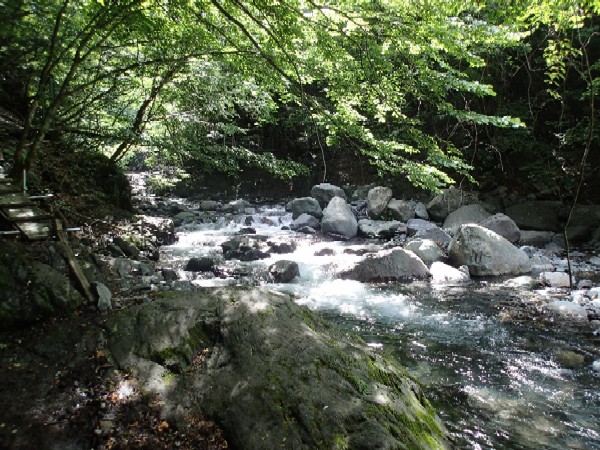 d0107938_12482891.jpg