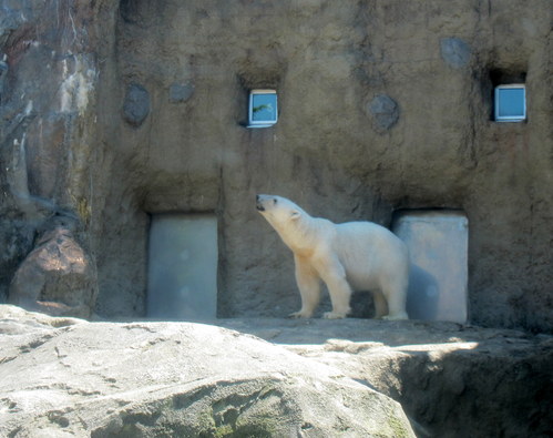 b0178339_142250100.jpg