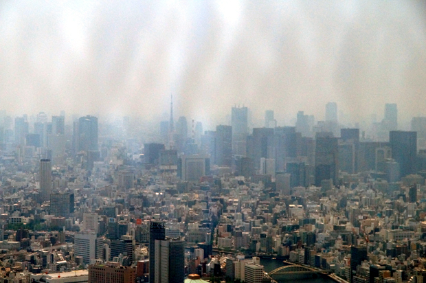 f0214649_8482390.jpg