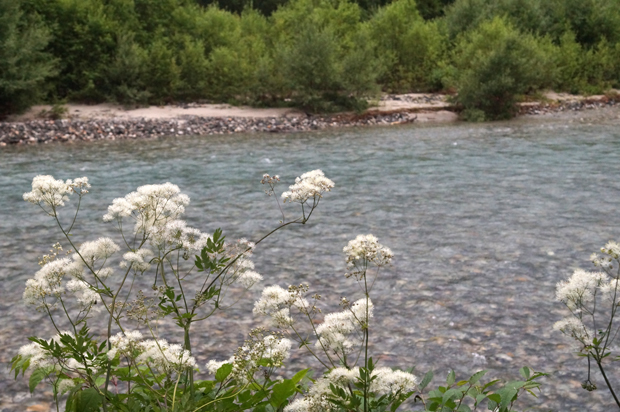 f0214649_9205983.jpg