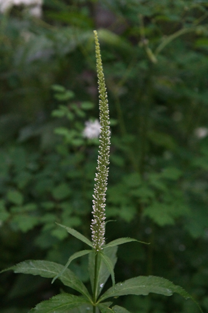f0214649_9261617.jpg