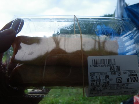 f0046250_1646760.jpg