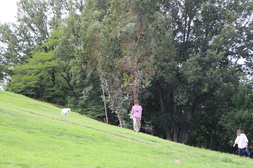f0245650_8242210.jpg