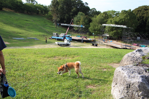 f0245650_85568.jpg