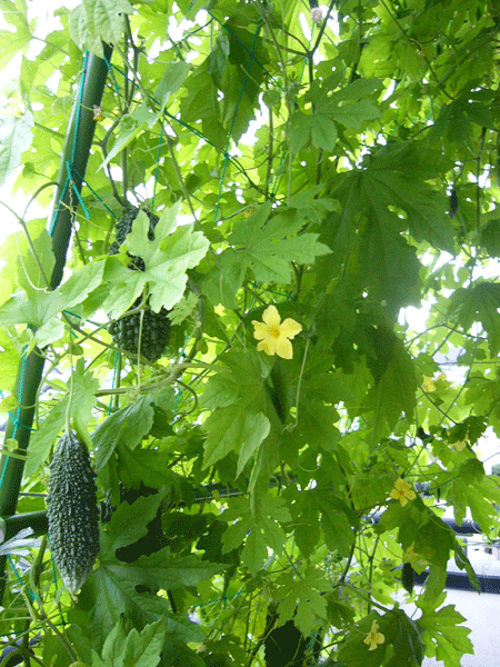 c0225153_23415664.gif