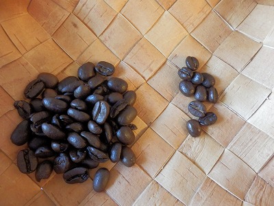e0004756_22172587.jpg