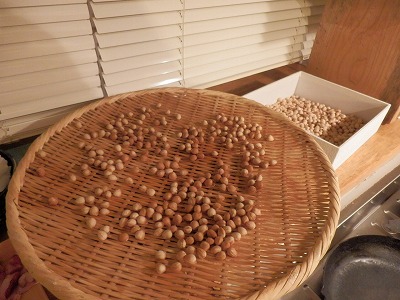 e0004756_225661.jpg