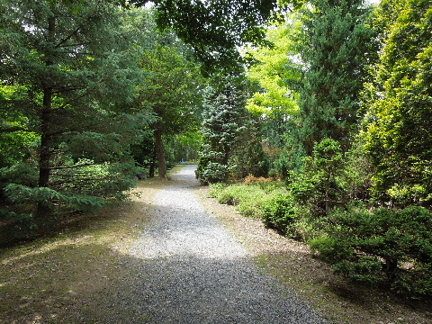 e0088260_8591842.jpg
