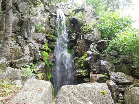 e0088260_8594255.jpg