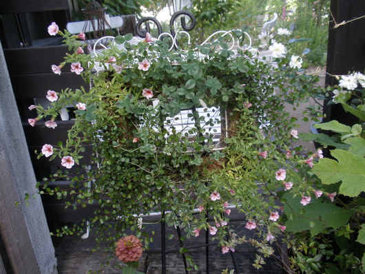 d0150967_0261522.jpg