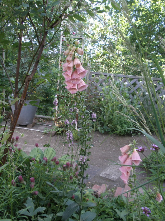 d0150967_02779.jpg