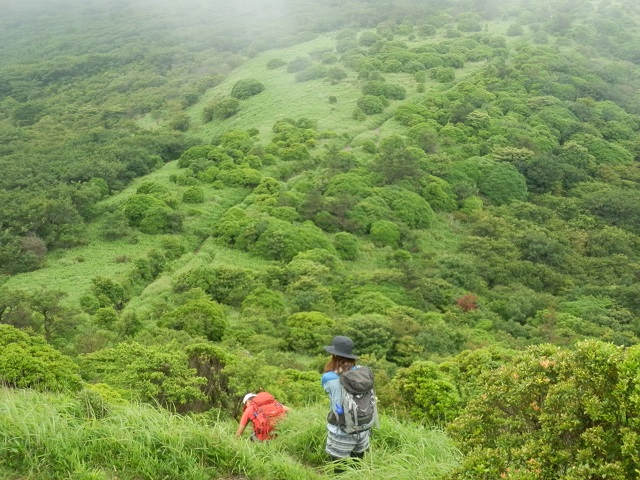 c0042869_9101845.jpg
