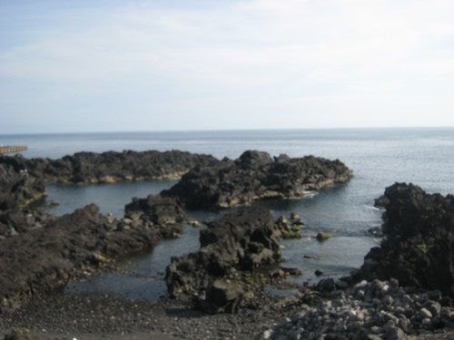 e0292172_210325.jpg