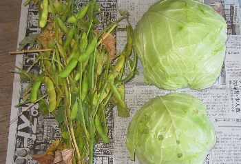 f0003283_18521640.jpg
