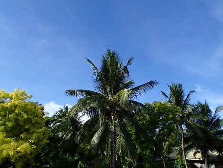 a0109187_17114912.jpg