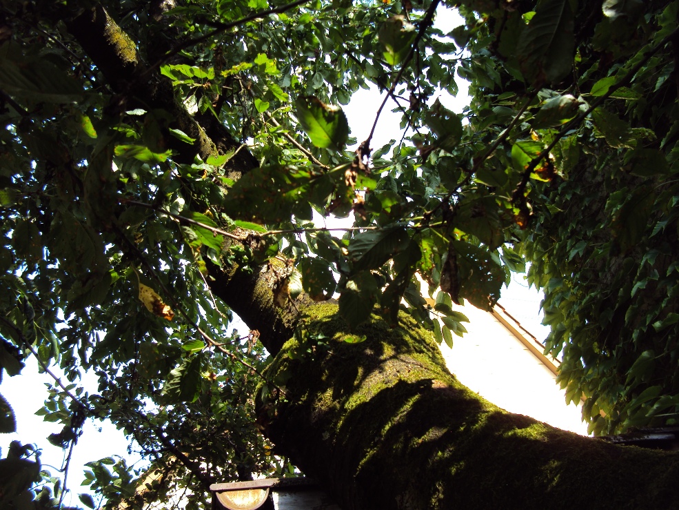 d0132988_7104212.jpg