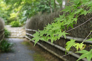 f0069890_1192519.jpg