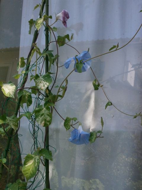 f0130894_2226576.jpg