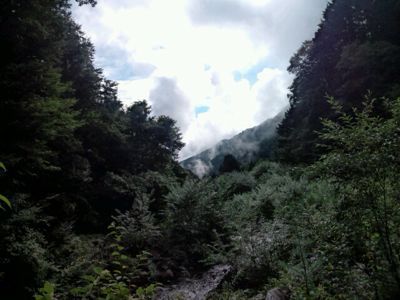 d0170799_10105581.jpg
