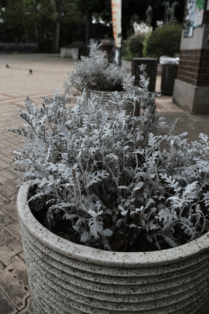 f0224100_2223293.jpg