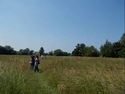 f0065604_181563.jpg