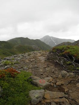 d0032405_2228316.jpg