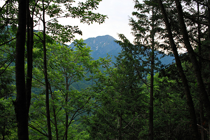 a0148606_12244583.jpg