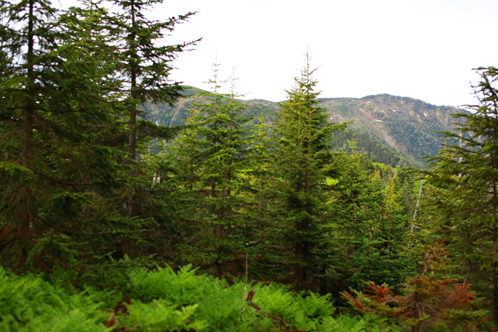 a0148606_12282725.jpg