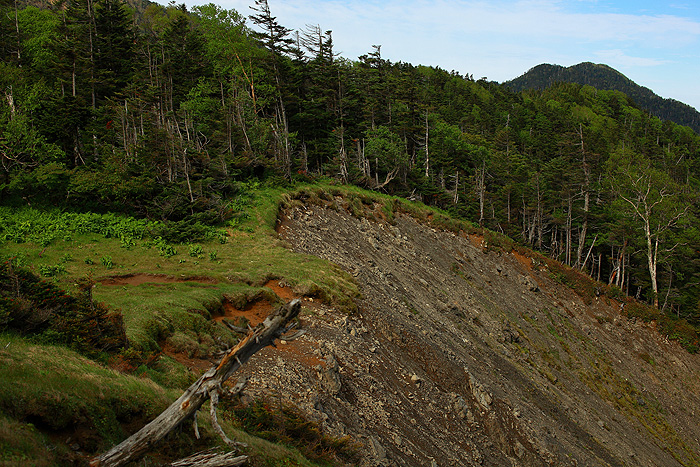 a0148606_1229048.jpg