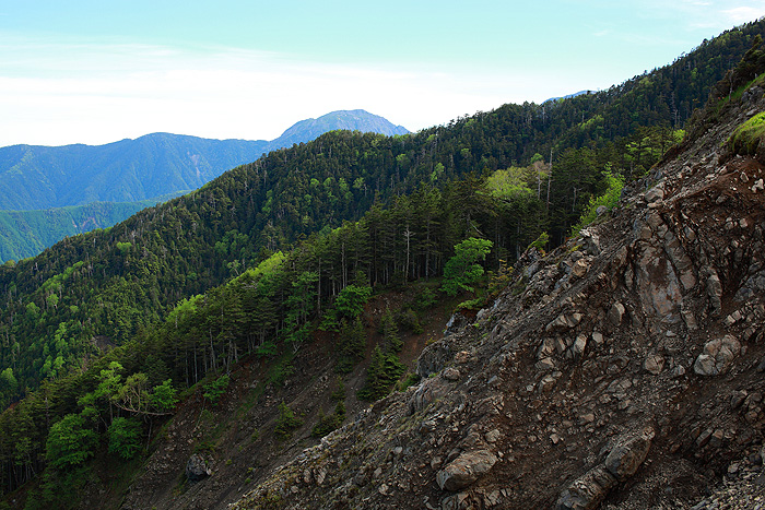 a0148606_12291669.jpg
