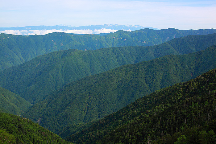 a0148606_12294063.jpg