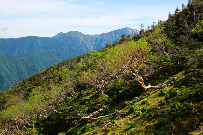 a0148606_12312177.jpg