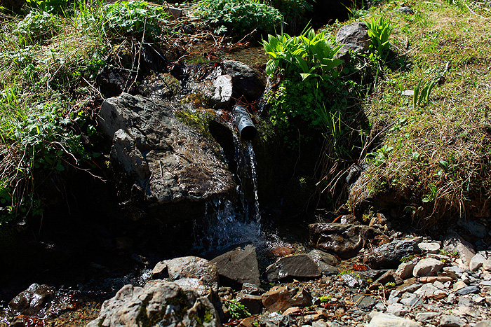 a0148606_12314044.jpg