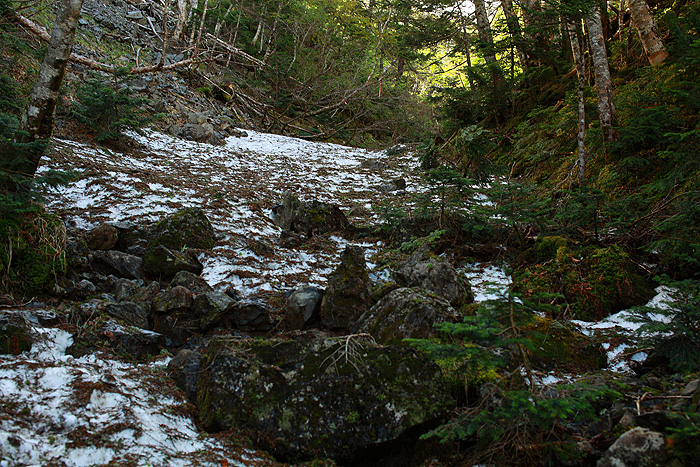 a0148606_1231437.jpg