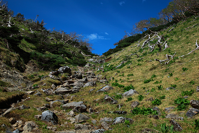 a0148606_12315723.jpg